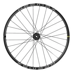Ruota Posteriore Mavic Deemax 29' 21 Disc IS-6 Bolt Asse Passante 12x148 Mm BOOST